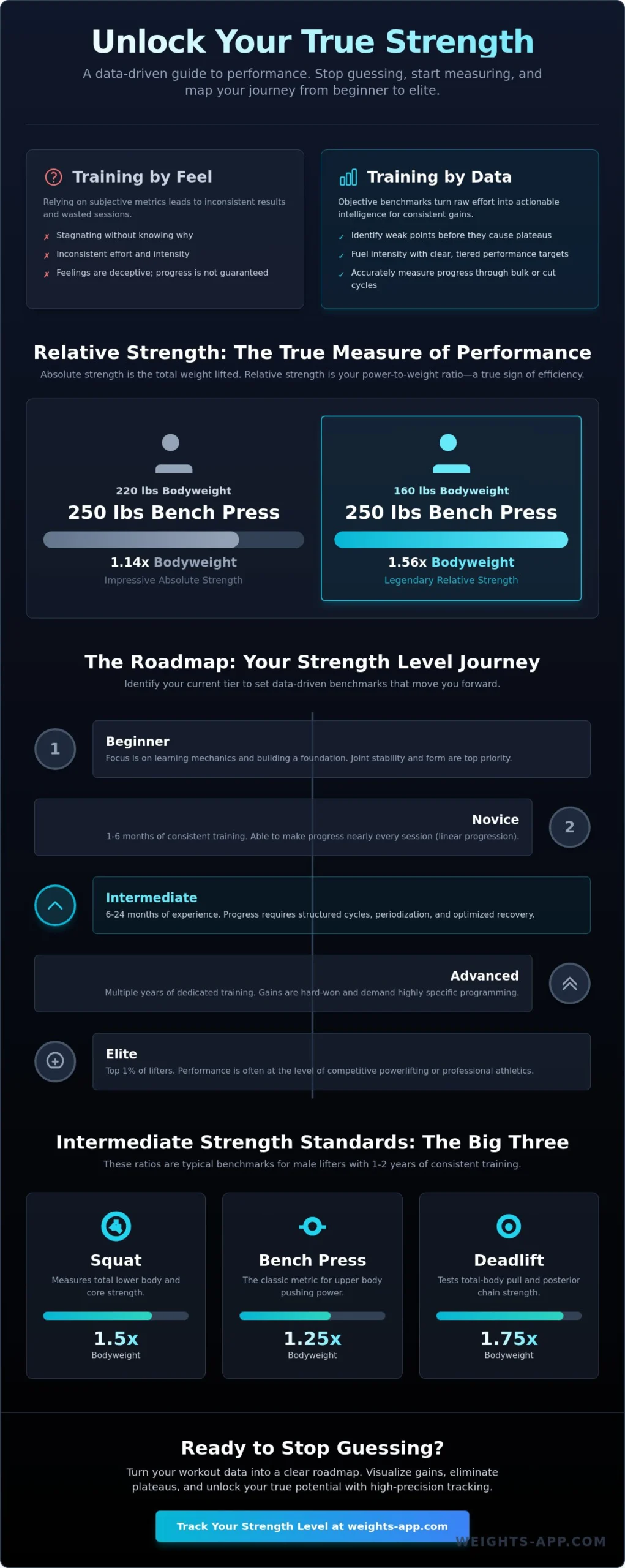 Strength Level: The Ultimate Guide to Benchmarking Your Gym Progress